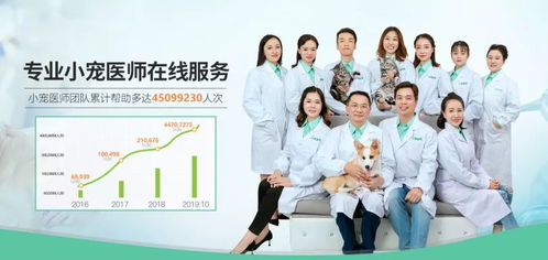 疫情期間寵物嘔吐、拉稀、血便怎么辦？4大科學防護指南助力在家養(yǎng)寵